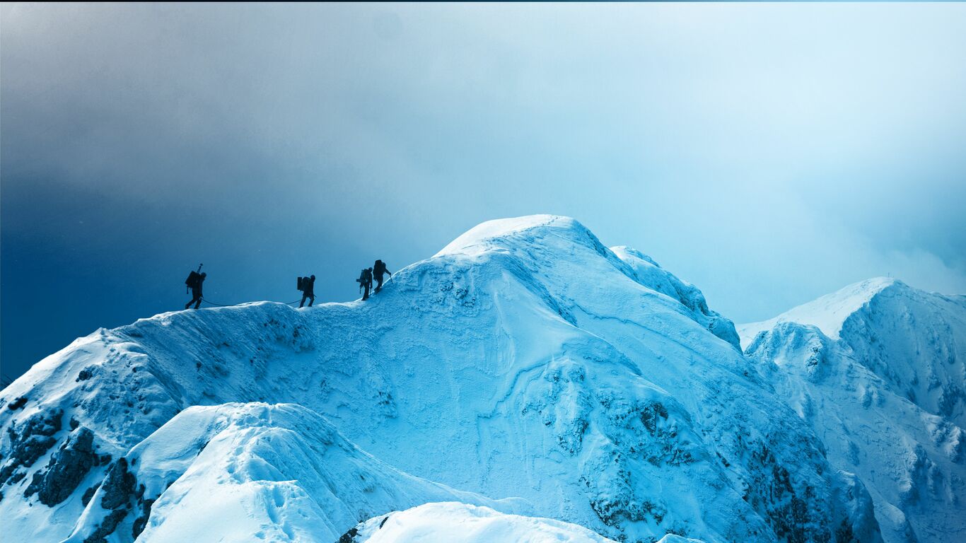 POLAR CAPITAL FUNDS PLC visual data 2