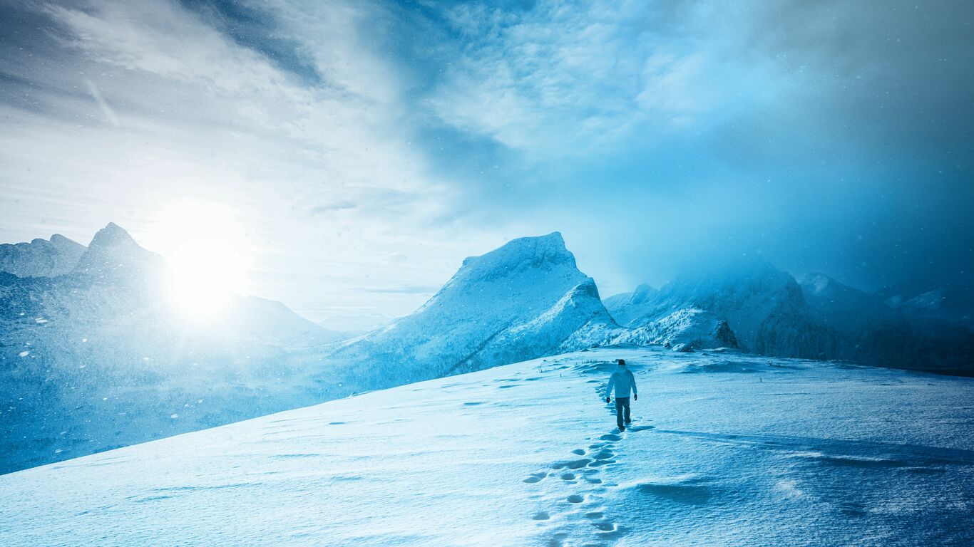 POLAR CAPITAL FUNDS PLC visual data 3