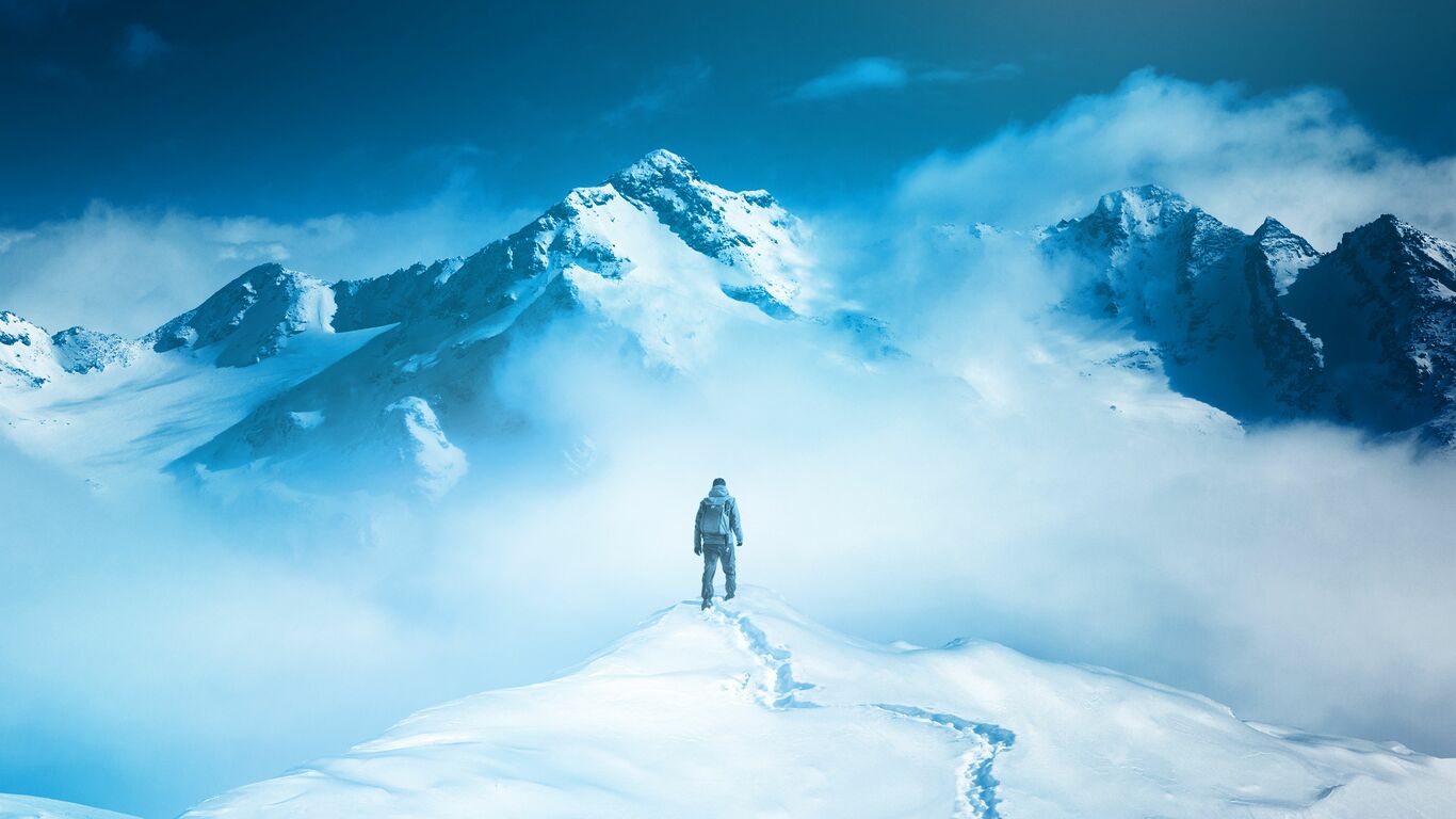 POLAR CAPITAL FUNDS PLC visual data 5