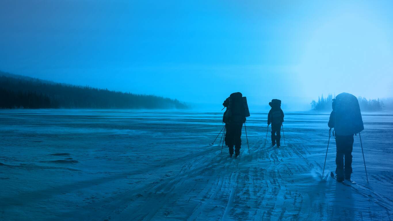 POLAR CAPITAL FUNDS PLC intelligence overview