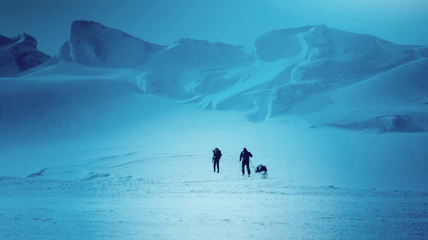 POLAR CAPITAL FUNDS PLC visual data 6